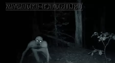Рэйк