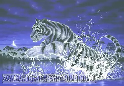 Год синего водного тигра