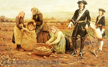 Картофель в Российской Империи
