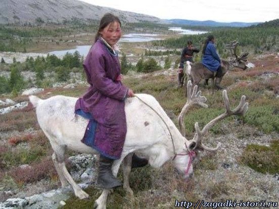 Народность цаатанов в Монголии