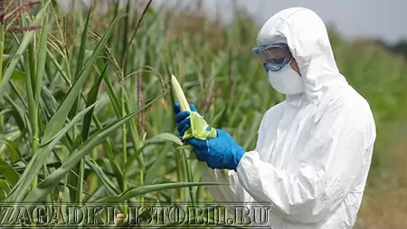 Вред и польза ГМО