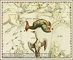 Средневековая звёздная карта. Созвездие рыбы