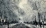 Город Асхабад. Крымская улица. Холодная зима 1907-го года